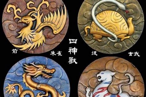 南朱雀北玄武|玄武（中国古代神话中的四大神兽之一）